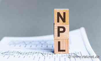 Risikopotenzial von Non-Performing Loans - RiskNET