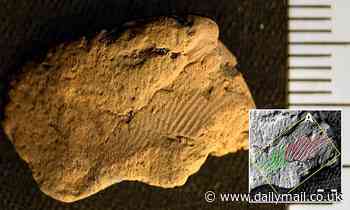 5,000-year-old fingerprints found on Neolithic pottery reveals it was made by two young males