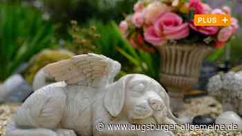 Letzte Ruhe für den Liebling: Eine Tierbestatterin erzählt - Augsburger Allgemeine
