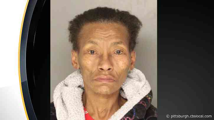 Grandmother Of Wandering Child Charged With Child Endangerment, Public Drunkenness