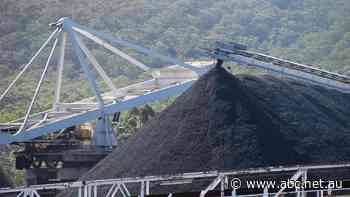 Aboriginal, ecologically significant sites identified in possible new coal mine zones