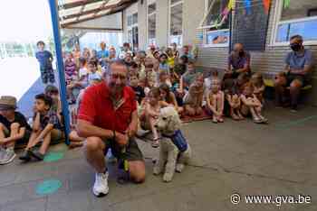 Leerlingen De Springplank zamelen 3,4 ton dopjes in voor blindengeleidehond - Gazet van Antwerpen