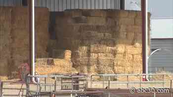 Local cattle ranchers seeing increase in hay prices