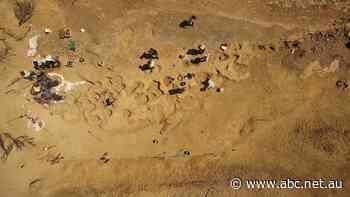 Dinosaur footprints 'fascinating' evidence of how prehistoric animals lived side by side