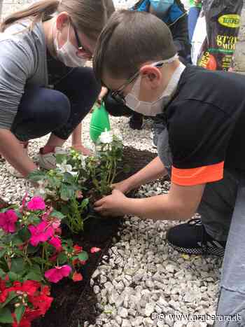 CLUSONE - SCUOLA - Nuovi fiori nell'Aiuola della Pace - Araberara - Araberara