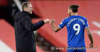 Dominic Calvert-Lewin shows how Rafa Benitez can use Everton's biggest strength