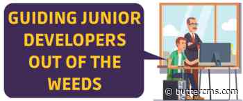 Guiding Junior Developers Out of the Weeds