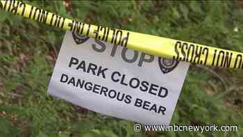 NJ Park Closes Due to Aggressive Bear Going Up to Visitors