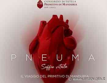 'Pneuma', uno spettacolo teatrale sul viaggio del Primitivo di Manduria - Ilikepuglia