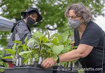 Shiloh Market is the little farm that could