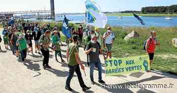 Lorient - À Lorient, 400 personnes ont dit stop aux algues vertes [Vidéo] - Le Télégramme