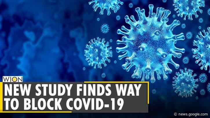 Study: Orally administered drug 'TEMPOL' can inhibit COVID-19's replication | SARS-CoV-2 | WION News - WION