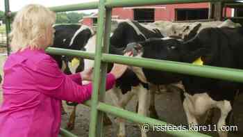 Wisconsin family moves from the classroom back to the dairy barn
