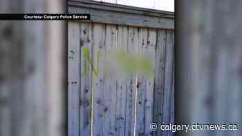 Calgary police encouraged by witnesses coming forward in recent hate crime investigations - CTV Toronto