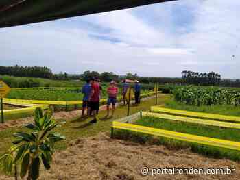 Unioeste trabalha na produção de leite orgânico em assentamentos rurais - Portal Rondon