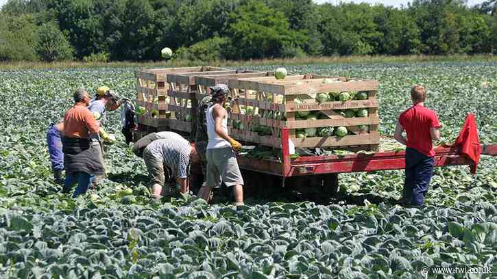 Report warns of ‘disastrous’ farm labour shortages