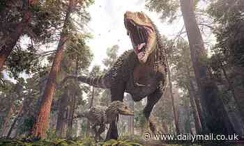 Everywhere T.Rex rose to dominance, their juveniles took over, study finds