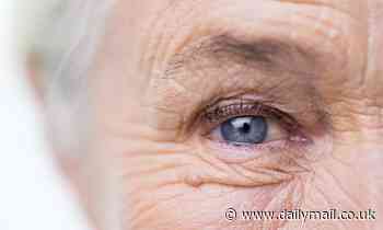 Humans 'cannot cheat ageing and death', scientists say