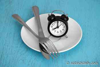 New Research: Intermittent Fasting “No Magic Bullet for Weight Loss”