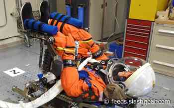 NASA asks public to help name its Artemis I flight test dummy