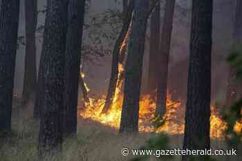 Large forest fire ongoing at Lockton, near Pickering - Gazette & Herald