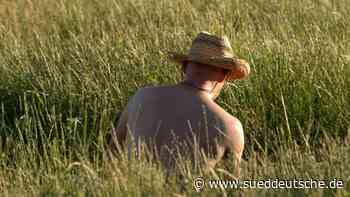Sonnenschein und eine tropische Nacht - Süddeutsche Zeitung