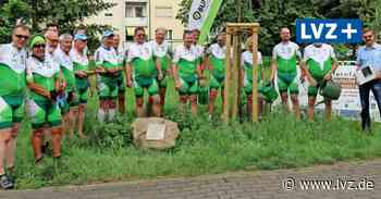 Deutsche Alleenstraße. Radfernfahrt macht Halt in Oschatz - Leipziger Volkszeitung