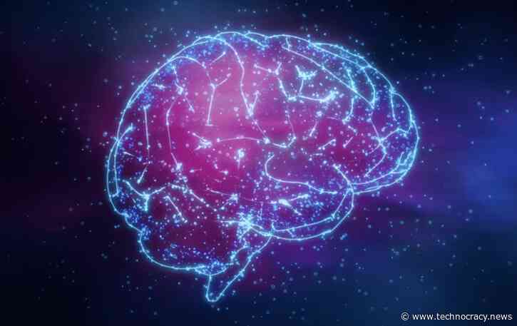 “Magneto” Protein: Genetically Engineered To Control Brains And Behavior