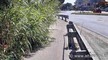 Erba alta e incuria sulla ciclabile marciapiede di Santarcangelo - AltaRimini