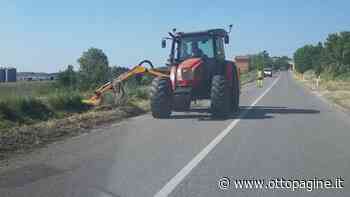 Avviate le attività di sfalcio dell'erba lungo la statale 90 ad Ariano - Ottopagine