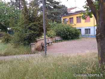 Borgotrebbia, i residenti lamentano: "Erba alta e panchina ricoperta dal verde" - Libertà