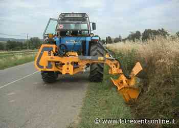 Provincia, Completato sfalcio erba bordo strade Trexenta - la Trexenta Online - La Trexenta Online