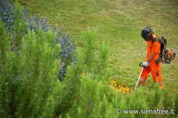 Castelnuovo: in corso il taglio dell'erba su tutto il territorio Castelnuovo - SienaFree.it