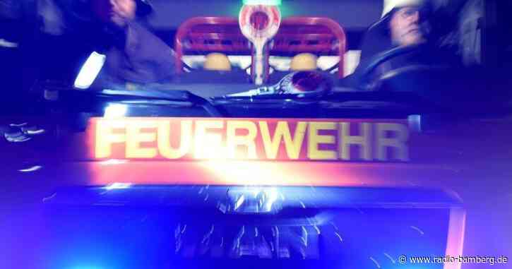 Millionenschaden bei Feuer in Holzpalettenwerk