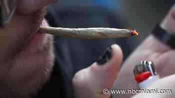 Florida Supreme Court Says No to Recreational Marijuana Ballot Proposal