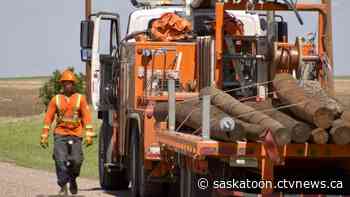 Power restored to most homes impacted by Sask. storm