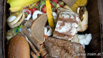 Zehn Prozent mehr Biomüll im Bezirk Neunkirchen - NÖN.at