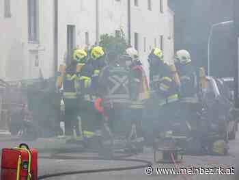 Menschenrettung bei Wohnungsbrand: Zwei Personen und Fünfzehn Katzen gerettet - Neunkirchen - meinbezirk.at