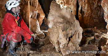 How Bats and Their Poop Erase Ancient Cave Art