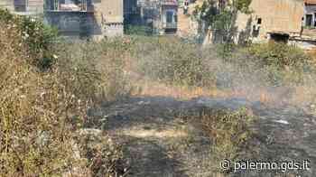 Palermo, incendio di sterpaglie in piazza Indipendenza: corso Catalafimi invaso dal fumo - Giornale di Sicilia