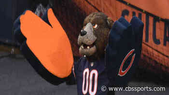 Bears eyeing possible move out of downtown Chicago to suburb that sits 35 miles away from Soldier Field