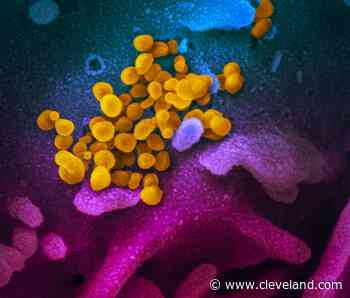 Ohio reports 244 new coronavirus cases: Thursday update - cleveland.com