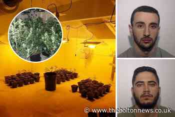 Farmers growing £69k of cannabis in Bolton house tried to flee police raid - The Bolton News
