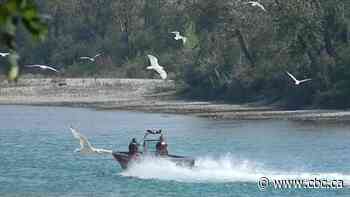 2 adults, 1 child saved from Bow River after raft capsizes