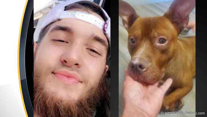 ‘Unspeakable Animal Cruelty’: Scottdale Man Charged For Beating, Running Over Stray Dog