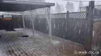 Cleanup efforts in Prince Albert to continue into next week after brief but destructive storm