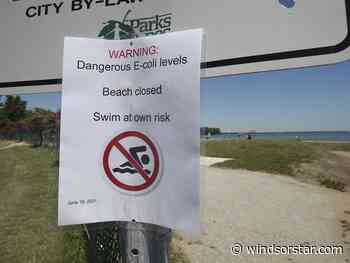 Three Windsor-Essex beaches not safe for swimming due to high bacteria levels - Windsor Star