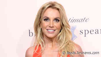 Britney Spears addresses if she'll ever take the stage again ahead of conservatorship hearing