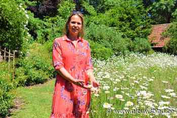 Domein Bijsterveld zwaait na drie jaar de tuinpoorten nog eens open: “We hebben de natuur tijd willen geven”