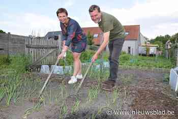 Groenselhof bestaat tien jaar en zoekt nieuwe, groene vingers: “De oogst mag mislukken: hier zien we liever mensen bloeien”